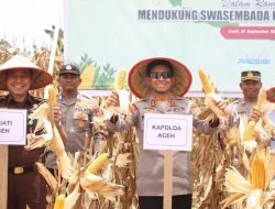 Kapolda Panen 24,5 Ton Jagung di Aceh Jaya