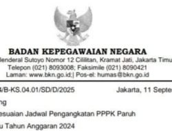 BKN Perpanjang Jadwal Pengisian DRH PPPK Paruh Waktu