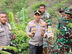 Kapolres Aceh Tengah Tanam 1.500 Bibit Pinus di Bintang