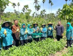 Tim PKK Aceh Sambangi Jaboi, Wali Kota Sabang Apresiasi Semangat Kader