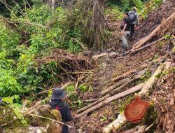 Ternyata Modus Penjualan Ganja di Aceh: Dihanyutkan Lewat Aliran Sungai