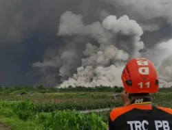 BNPB Evakuasi 300 Warga Terdampak Erupsi Semeru