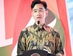 Alumni UTS Insearch Tak Ada yang Kenal Gibran