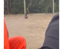 Banjir Bireuen Meluas, SAR Evakuasi Puluhan Warga