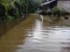Banjir Rendam Empat Kecamatan di Aceh Singkil, Jalan Terputus dan Ratusan Warga Terdampak