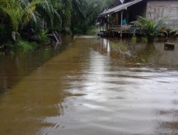 Banjir Rendam Empat Kecamatan di Aceh Singkil, Jalan Terputus dan Ratusan Warga Terdampak