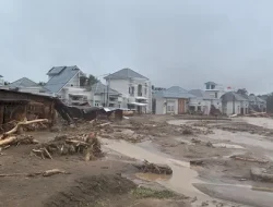 Greenpeace Sebut Tragedi Sumatera Kejahatan Ekosida Sistematis