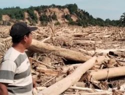 Permukiman di Aceh Tamiang Hilang Tertimbun Kayu Gelondongan