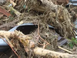 Bareskrim Selidiki Dugaan Kayu Illegal Logging yang Terbawa Banjir