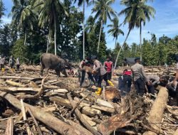 Gajah Dilibatkan dalam Pembersihan Material Banjir di Pijay