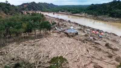 AHY Ungkap Hutan Lindung Aceh Tamiang Menyusut Drastis