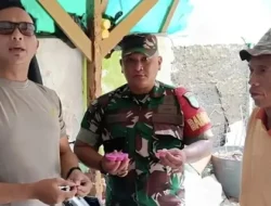 Bedakan Es Gabus dengan Spons Saja Tidak Bisa, Apalagi Ijazah Asli