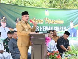 Bupati Syech Muharram Resmikan dan Fungsikan Kembali Pasar Hewan Sibreh