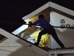 Damkar BPBD Aceh Besar Evakuasi Sarang Tawon yang Ancam Warga