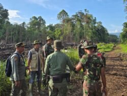 Plt Bupati Aceh Selatan Tinjau Lokasi Kebakaran Hutan di Trumon Timur dan Bakongan