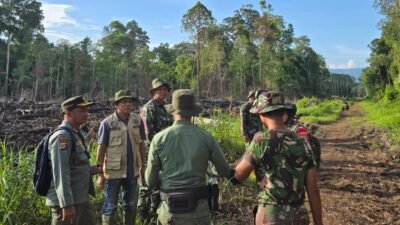 Plt Bupati Aceh Selatan Tinjau Lokasi Kebakaran Hutan di Trumon Timur dan Bakongan