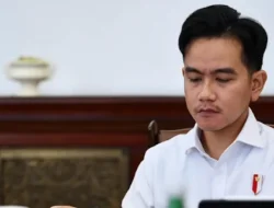 Presiden Prabowo Disarankan Tak Gandeng Gibran di Pilpres 2029