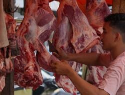 Harga Daging  Meugang di Aceh Barat Diprediksi Capai Rp 200 Ribu Perkilogram