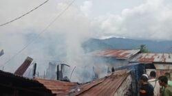 Tujuh Rumah Terbakar di Aceh Tenggara, Pelaku Diduga ODGJ