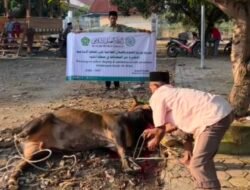 Berkat Kerja Sama, Tgk Masrur: Penyaluran Bantuan Liga Muslim Dunia di Pidie Jaya Sukses dan Tepat Sasaran