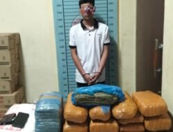 Bawa Belasan Bal Ganja, Warga Asahan Dibekuk Satresnarkoba Polres Aceh Tenggara