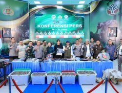 Polda Riau Bekuk 15 Tersangka Jaringan Perburuan Gajah Sumatera Lintas Provinsi