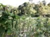 Ketika Program Negara Menyentuh Akar Rumput
