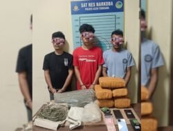 Satresnarkoba Polres Agara Tangkap Tiga Pria Atas Kepemilikan Ganja Siap Edar