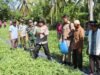 Kapolres Abdya Panen Semangka di Kebun Binaan Bhabinkamtibmas
