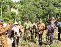 Sekda Sabang Dorong Pengembangan Jagung Pipil