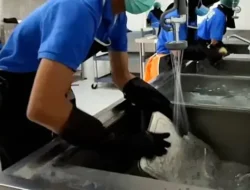 Bejat! Tukang Cuci Piring Dapur MBG Perkosa Gadis 13 Tahun, Rekam Aksi, Lalu Peras Korban