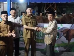 Bupati Mirwan Serahkan Bantuan Sapi Presiden RI untuk Warga Terdampak Banjir