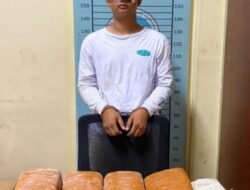 Satresnarkoba Polres Aceh Tenggara Ciduk Seorang Pria Bersama Belasan Bal Ganja Kering