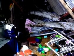 Pohon Tumbang Timpa Rumah Warga, Seorang Perempuan Terluka