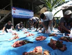 FJL Aceh Sembelih Hewan Qurban, Berbagi dengan Jurnalis dan Masyarakat Kurang Mampu