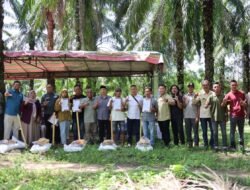 PUPL Aceh Timur Luncurkan Program Rehabilitasi Kebun Sawit Terdampak Banjir