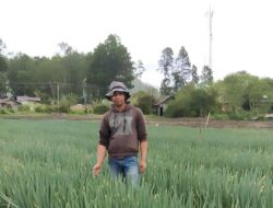 Herry Palawija, Tokoh Inspiratif Petani Milenial dari Bener Meriah
