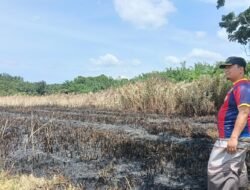 Tinjau Kebakaran Lahan, Camat Julok Ingatkan Warga tak Sembarangan Membakar Sampah di Ladang