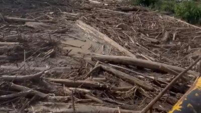 Darurat Sungai Keureutoe, IMPELMA Warning Pemerintah Jangan Lamban