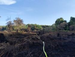 Karhutla Hanguskan 12,5 Hektare Lahan di Aceh Barat, Proses Pemadaman Masih Berlangsung