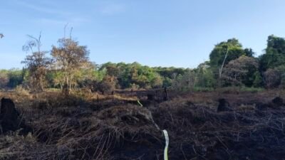 Karhutla Hanguskan 12,5 Hektare Lahan di Aceh Barat, Proses Pemadaman Masih Berlangsung