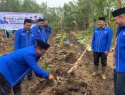 Sambut Harlah ke-7, APRI Aceh Tanam 933 Pohon di Seluruh Aceh