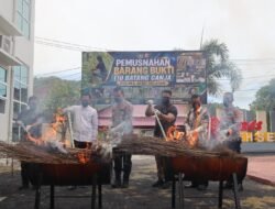 Musnahkan 110 Batang Ganja, Kapolres Aceh Selatan Tegaskan Perang terhadap Narkotika