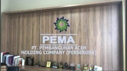 BPK Soroti Kinerja PT PEMA, Pengamat Nilai Tata Kelola Buruk dan Tidak Profesional