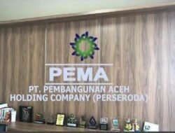 BPK Soroti Kinerja PT PEMA, Pengamat Nilai Tata Kelola Buruk dan Tidak Profesional