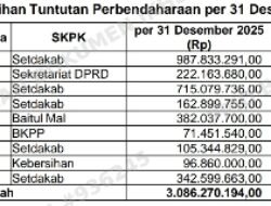 BPK Soroti Mandeknya Penyelesaian Tuntutan Perbendaharaan di Aceh Tenggara, Pengawasan Tim TPTGR Dinilai Lemah