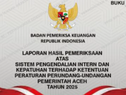 Bagian 3: Indikasi Pengkondisian dan Mark-Up Harga, BPK Soroti Pemilihan Penyedia