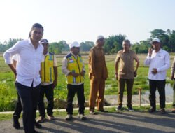 Sekda Aceh Tinjau Rehabilitasi Sawah di Aceh Timur, Dorong Percepatan Pemulihan Sektor Pertanian