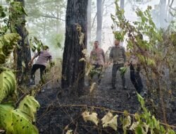 Quick Response Brimob Polda Aceh Tangani Karhutla di Lembah Seulawah