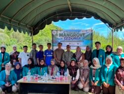 Peringati Hari Mangrove Sedunia, BEM FKIP USK Tanam Mangrove di Aceh Besar